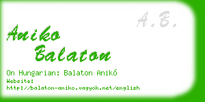 aniko balaton business card